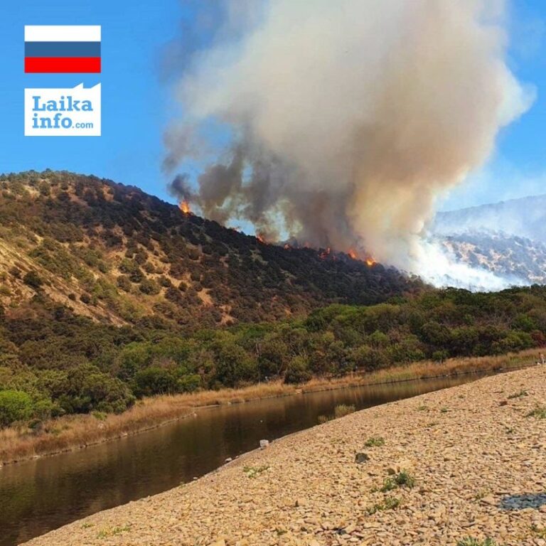 Пожар в заповеднике Утриш / Fire in Utrish nature reserve