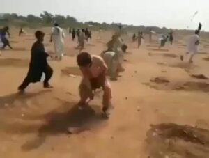 Уничтожение деревьев в Пакистане / Destruction of trees in Pakistan