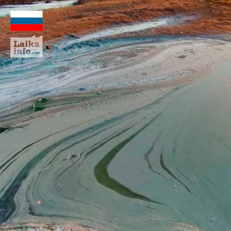 Экологическая катастрофа на Алтае / Environmental disaster in the Altai