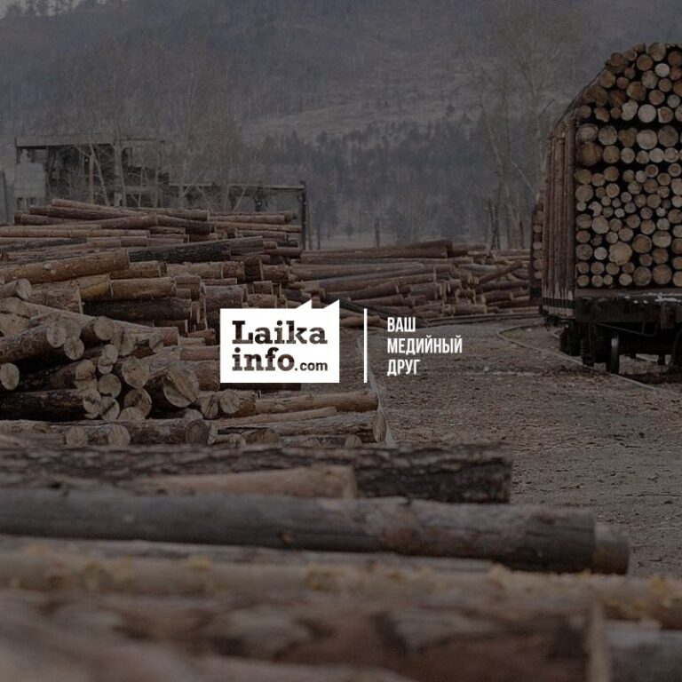 Президент РФ В.В. Путин намерен запретить вывоз леса Russian President Vladimir Putin intends to ban the export of timber