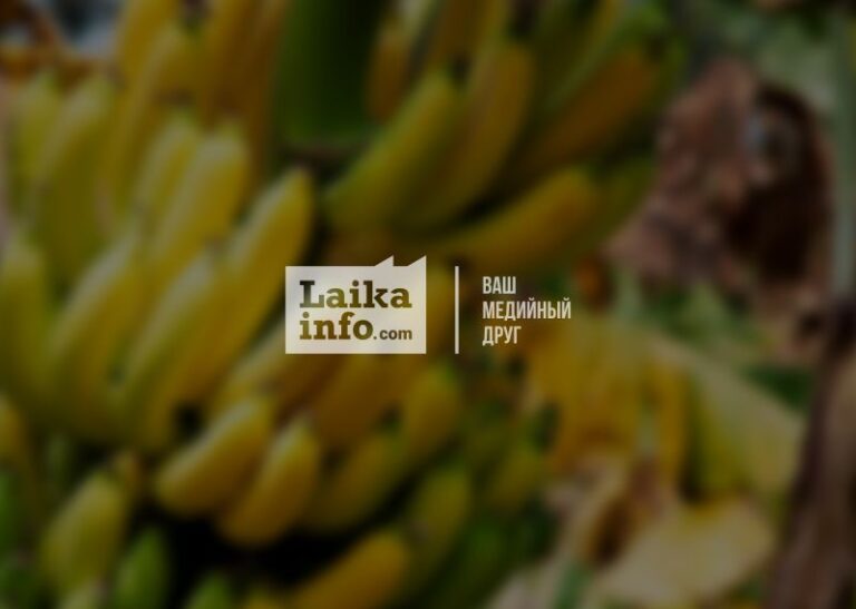 Organic bananas 2021