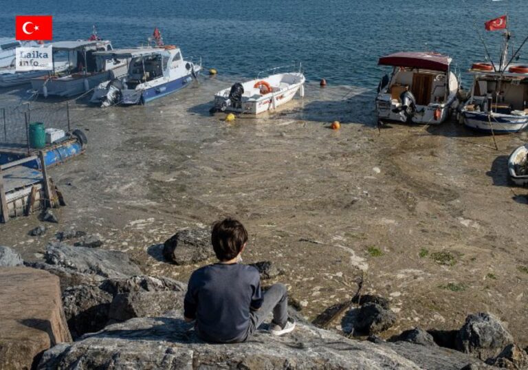 Турецкие берега Мраморного моря вблизи Стамбула покрыты слизью