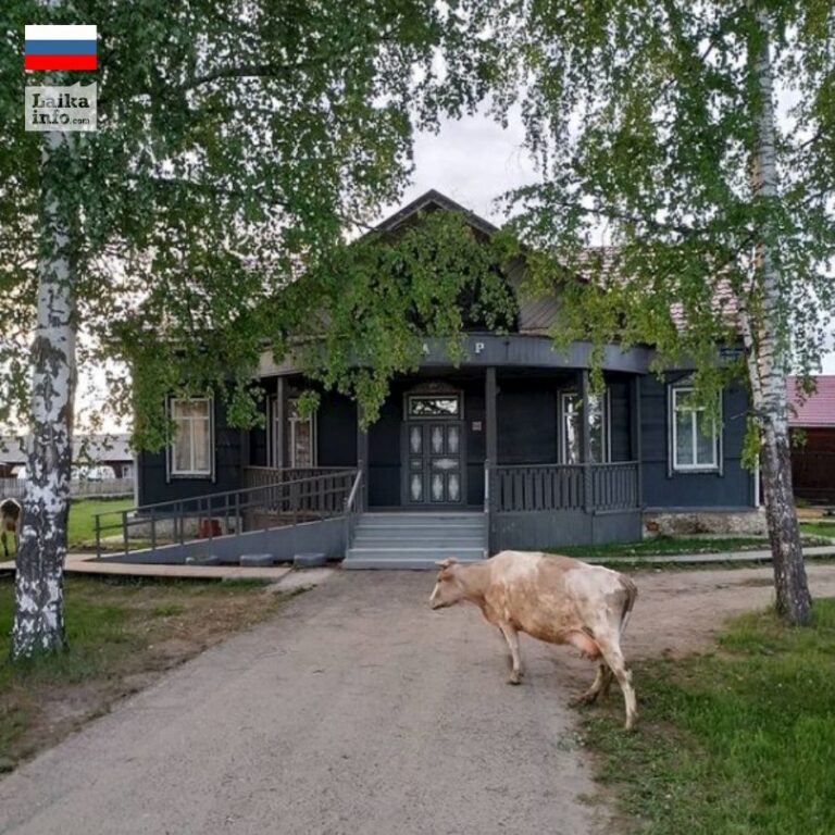 Сибирский посёлок Мотыгино