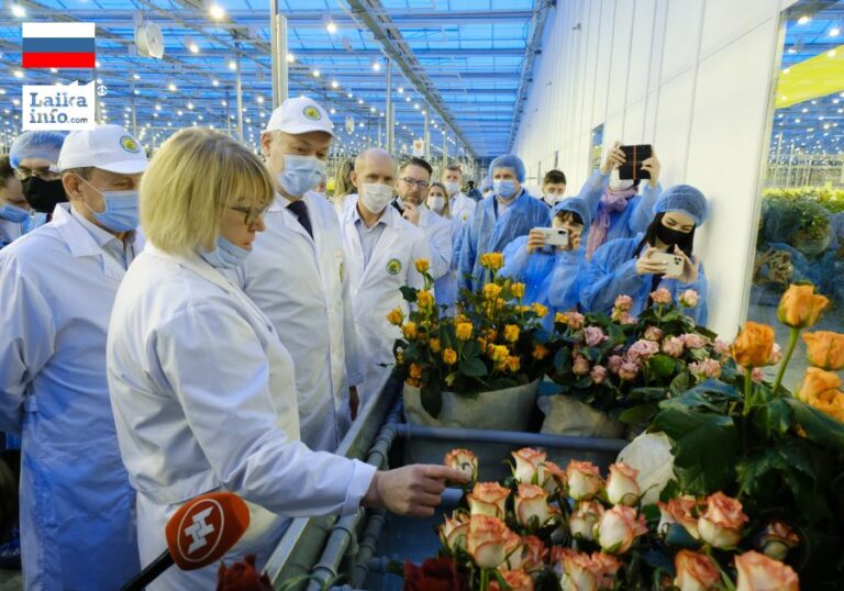 Губернатору Андрею Травникову продемонстрировали работу участка сортовых роз