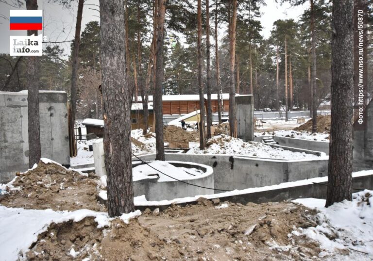 Новосибирский зоопарк откроет новые вольеры для медведей, губернатор Андрей Травников обсудил дальнейшее развитие