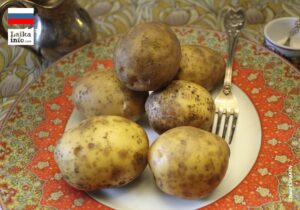 Самый вкусный и полезный в мире картофель выращенный в Сибири