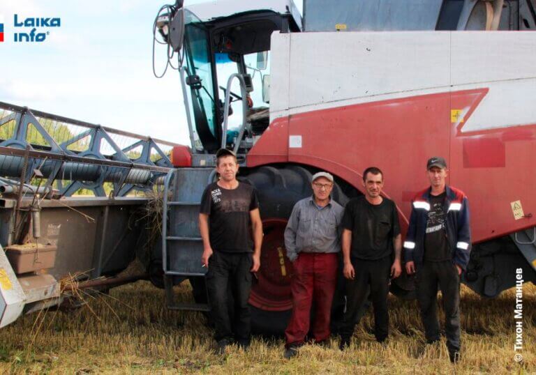 Аграрии Болотнинского района заняты уборкой урожая