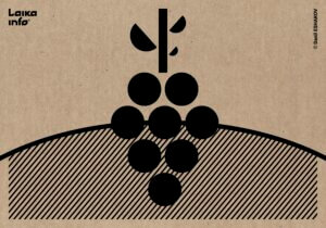 «Фанагория» впервые за 25 лет откажется от высадки виноградников